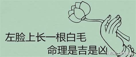 臉上有一根白毛|身上有一根毛特別長，是長壽象徵，還是癌變前兆？